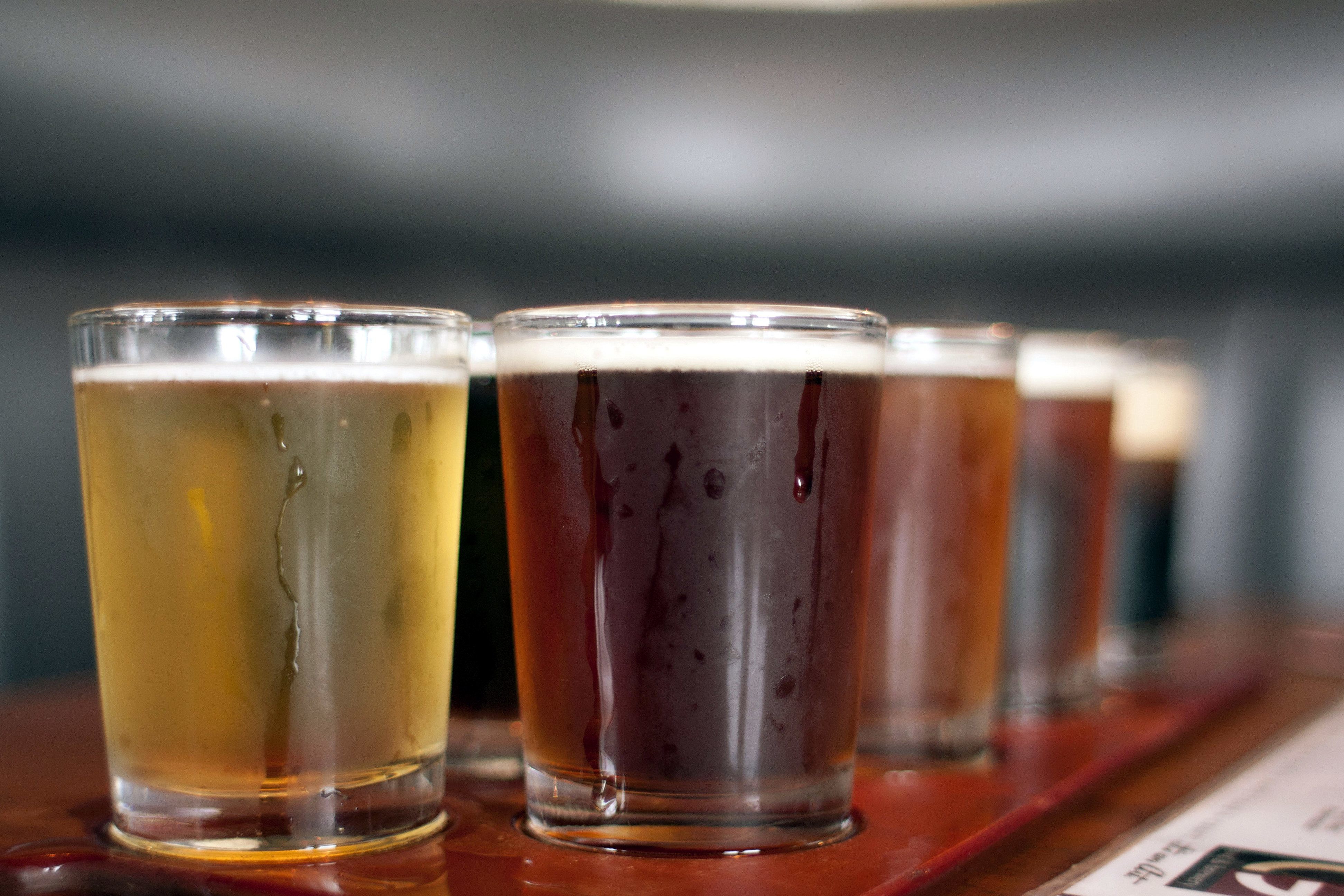 microbrew sampler fargo