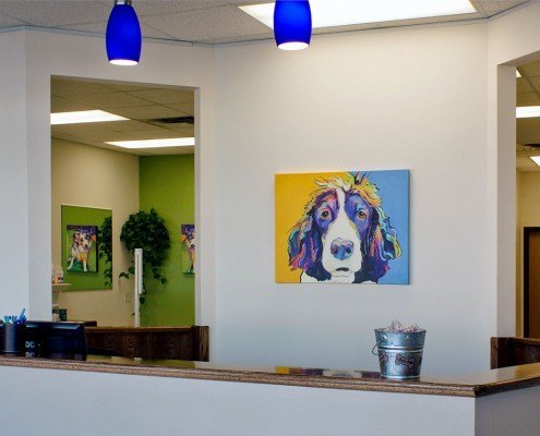 Moorhead, MN - Dog Groomer